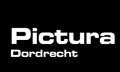 Pictura_txt